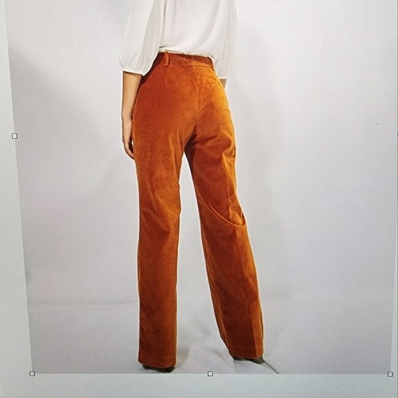 ISO Aritzia Wilfred Velvet Suit Mona Jacket Francesca Pant size 10 - Picture 4 of 4